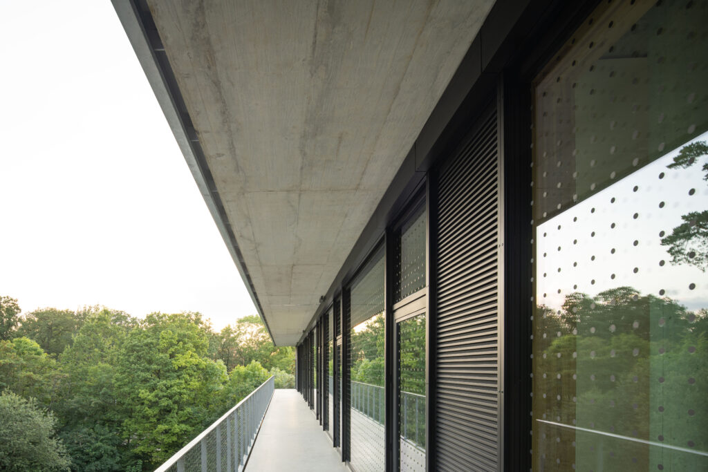 merz-schule-stuttgart-neubau-reichel-schlaier-architekten-gustav-epple-bauunternehmung-fotograf-max-leitner-11